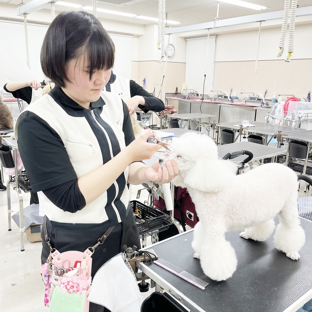 新２年生のトリミング実習！